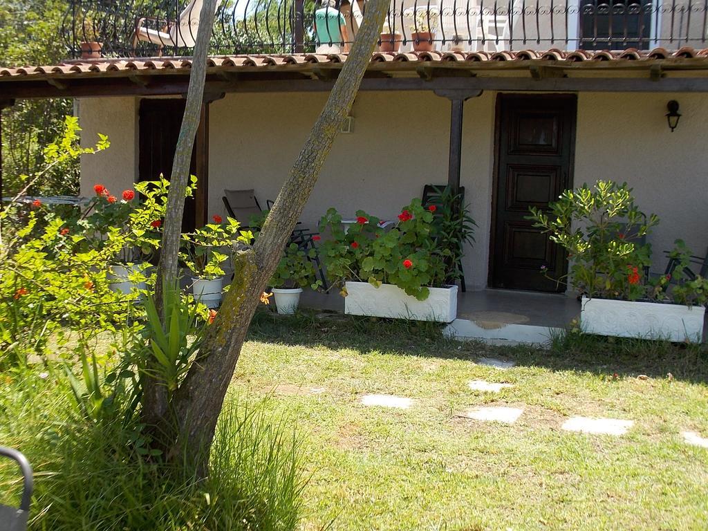 Yiannis Studios Tsilivi (Zakynthos) Exterior foto
